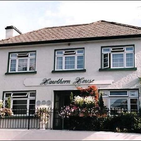 Hawthorn House Guesthouse Kenmare Eksteriør billede