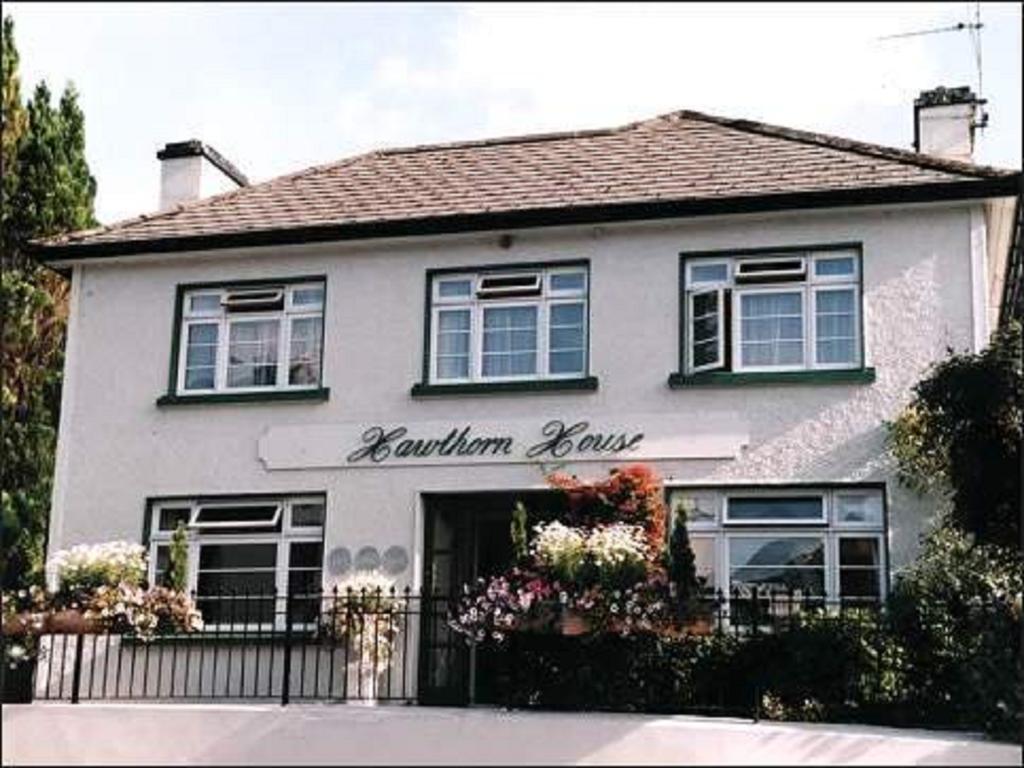 Hawthorn House Guesthouse Kenmare Eksteriør billede